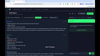 How to Use whiskr.ai Audio Recording to Generate SOAP Notes
