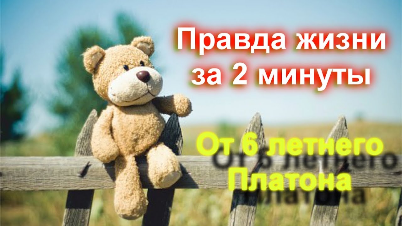Вся правда жизни за 2 минуты.