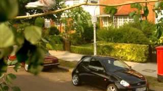 Information Bird Crap Sensor for Ford Cars News