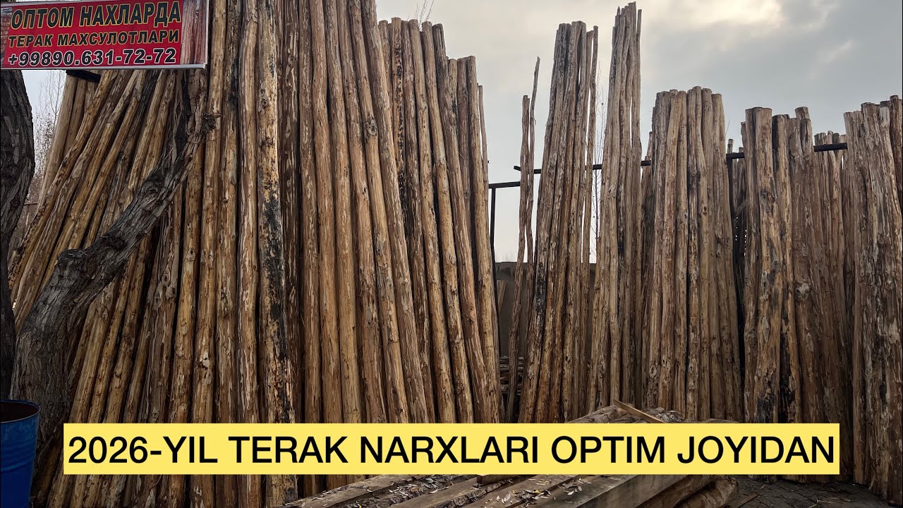 2026-YIL FARGONA ARZON OPTIM TERAK BOZOR NARXLARI👍 ( terak bozor narxlari )