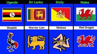 Full Weird Things You Never Noticed on National Flags Guide