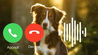 New ringtone 2022, Love ringtone, Mobile ringtone, Hindi ringtone, Best ringtone, Romantic Ringtone