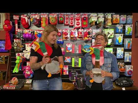 Brinquedo de Pelúcia para Cães KONG Shakers Honkers Duck