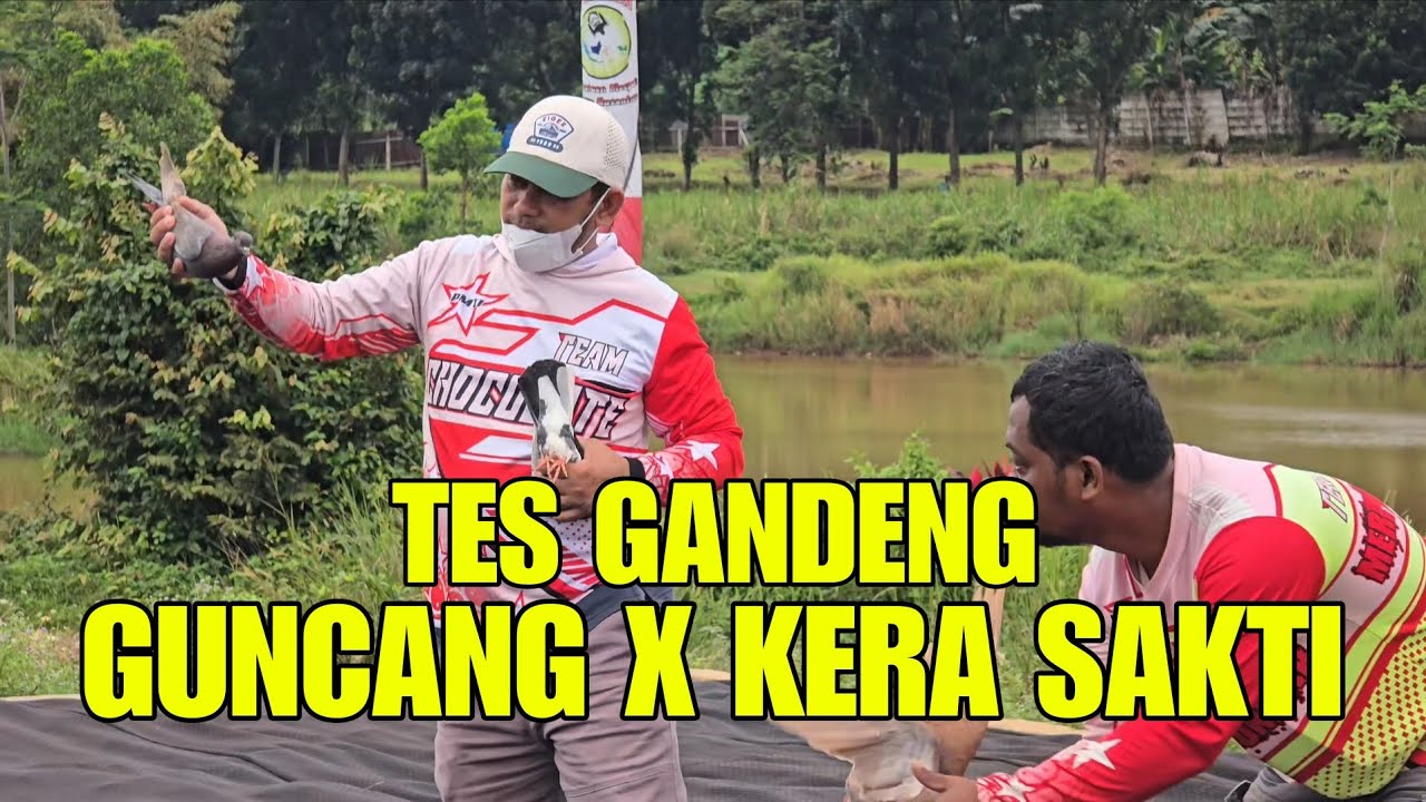 TES GANDENG GUNCANG DAN KERA SAKTI