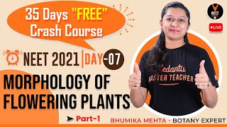 Day 7: Morphology Of Flowering Plants Class 11 #1 [35 Days 