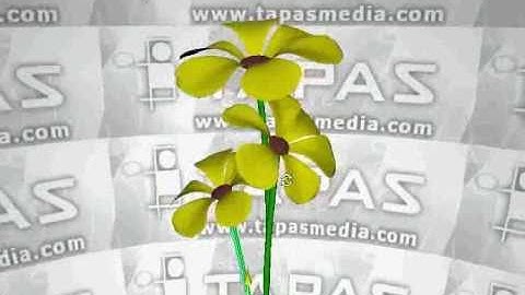 3d nurbs modeling tutorials Flowers - 3ds max maya training by TAPAS multimedia animation hyderabad