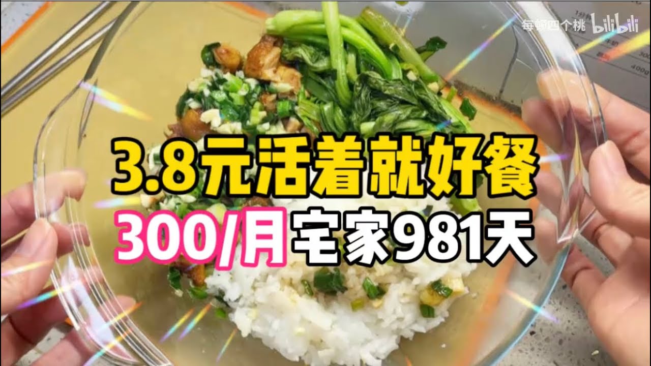 3.8元活着就好餐！95女不上班981天！盐葱鸡腿饭～