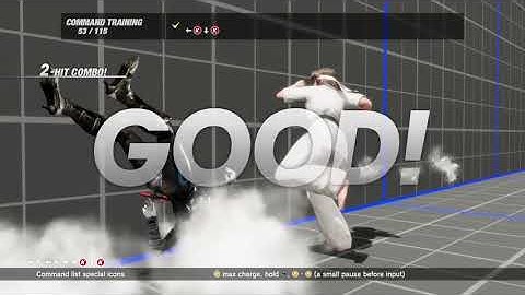 Dead or Alive 6 Hitomi Command Training