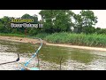 Ngeri begitu bringas penghuni spot mancing baung ketika air sungai surut