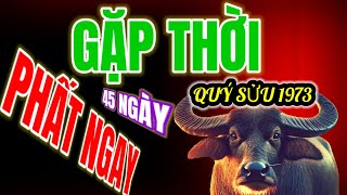 Thời Khắc Hoàng Kim: Tử Vi Quý Sửu 1973 Phất Lên Như Diều Gặp Gió, Danh Lợi Song Hành 45 Ngày Tới!