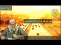 الشيخ محمد بن سعيد رسلان افق يارجل
