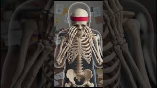 Only 2 hours of sleep for 4 days… your body won’t keep up 😴 #shorts #shortvideo #usashorts #usa