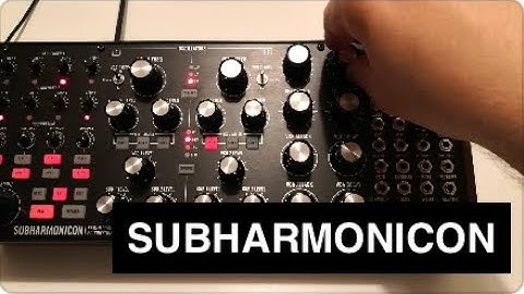 Exploring Moog SUBHARMONICON - 4 minutes NO TALKING