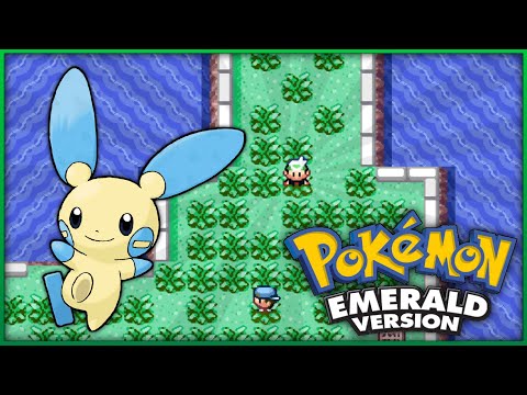 How to get Minun in Pokemon Emerald