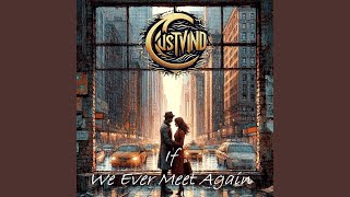 If (We Ever Meet Again) (Single Edit)