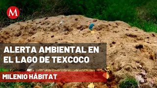 Denuncian tiradero de vísceras en el Lago de Texcoco | Milenio Hábitat