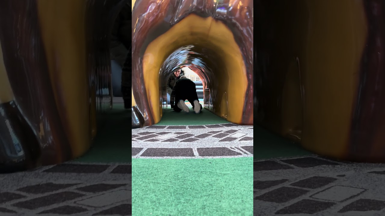 Frog hopping through the tree