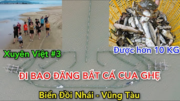 KST Vlog - Xuyên Việt #3 - Đi Bao Đăng Bắt Cá Tại Biển Đồi Nhái Vũng Tàu