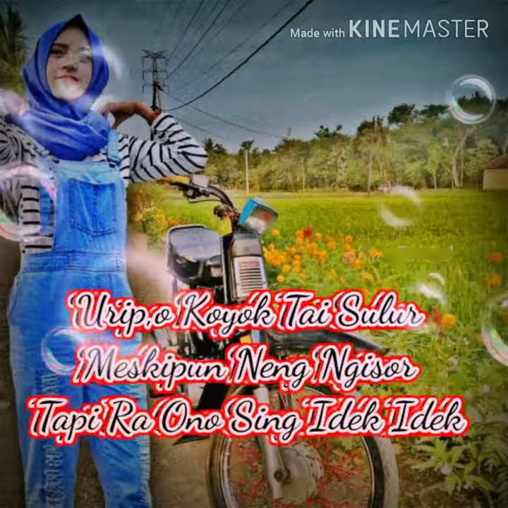 Story Wa 30 Detik Kekinian...Hiduplah Seperti Tai