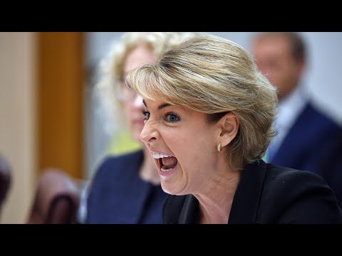 Michaelia Cash makes 'outrageous slur' during questioning over staff