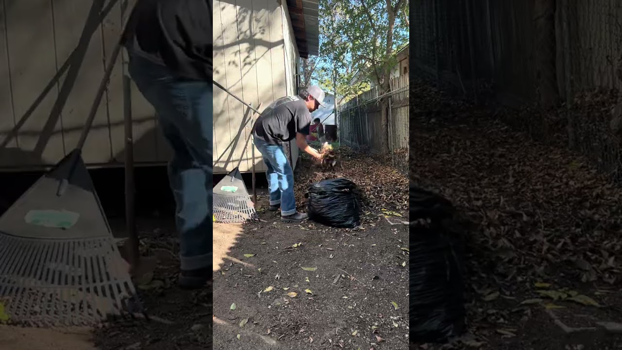 Back shed clean up with son 