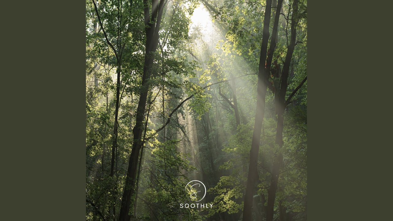 Sleduj Into the Light na YouTube Sleduj Into the Light na YouTube