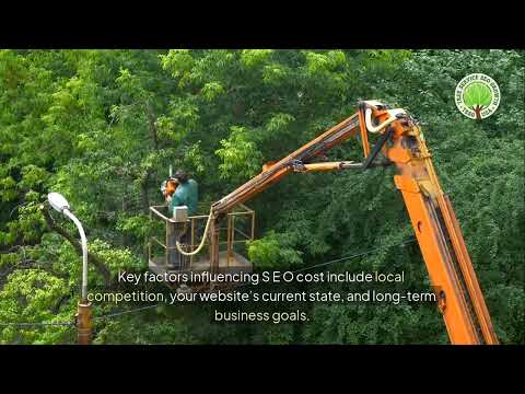 how much does seo cost per month