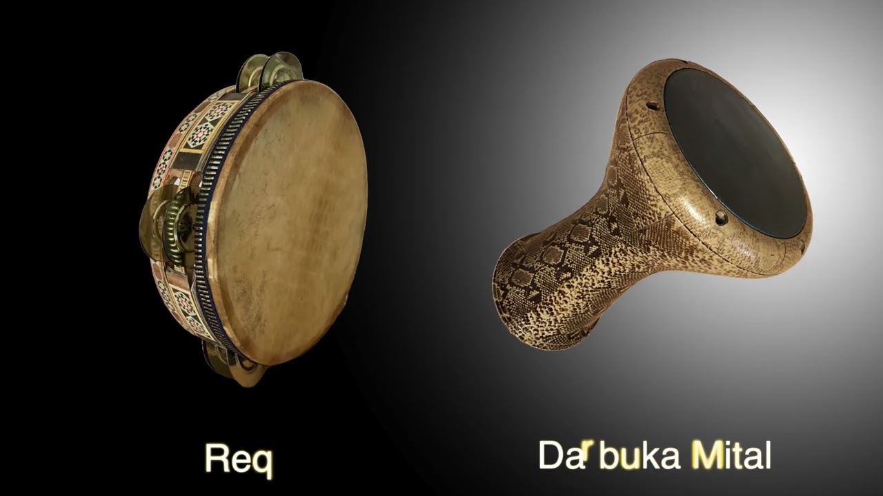 Ayoub percussion Library