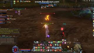 Aion Leo-Reborn Duel with no animation