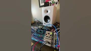 Mutable Instruments Beads and Strymon Starlab with 2hp ARP, Clk, & Euclid #shorts
