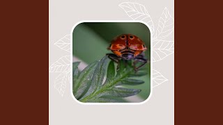 Vivacious Music for Spring Rest Wealth
