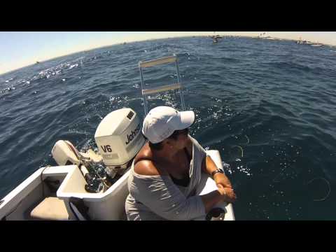 Rottnest Channel Swim