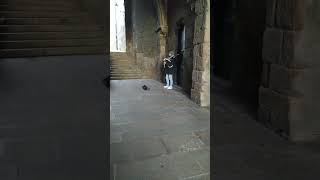 SANTIAGO DE COMPOSTELA - GALICIA - GAITERO