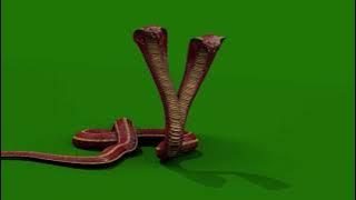 Naagin 4 Brinda Vishakha Fight Animation Greenscreen