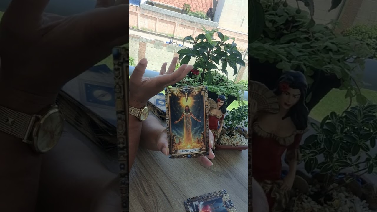 MARIA PADILHA REVALA TUDO PRA VOCÊ. SE VOCÊ CHEGOU AQUI ESSE RECADO...