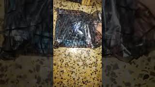 consistent h61 motherboard unboxing and review #shorts #h61