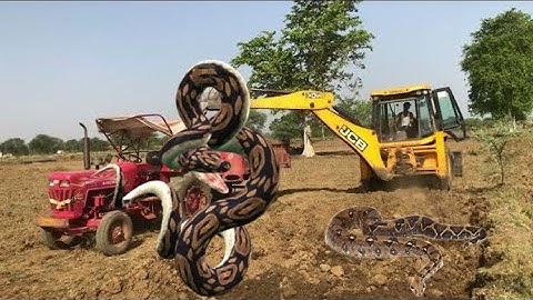 New Jcb 3dx Eco Xpert Making Pond With Mahindra Yuvo 415 DI Tractor and Tractor Gadi | Jcb Cratoon