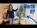 Lifelike Artificial Palm Tree 5-1/2 FT Tall. This just livens up the room!