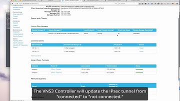 VNS3 routing agent demo