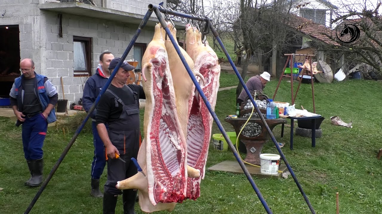 - ONI SU NAJTRAŽENIJI MESARI NA PLATOU MANJAČE U VRIJEME SVINJOKOLJA -