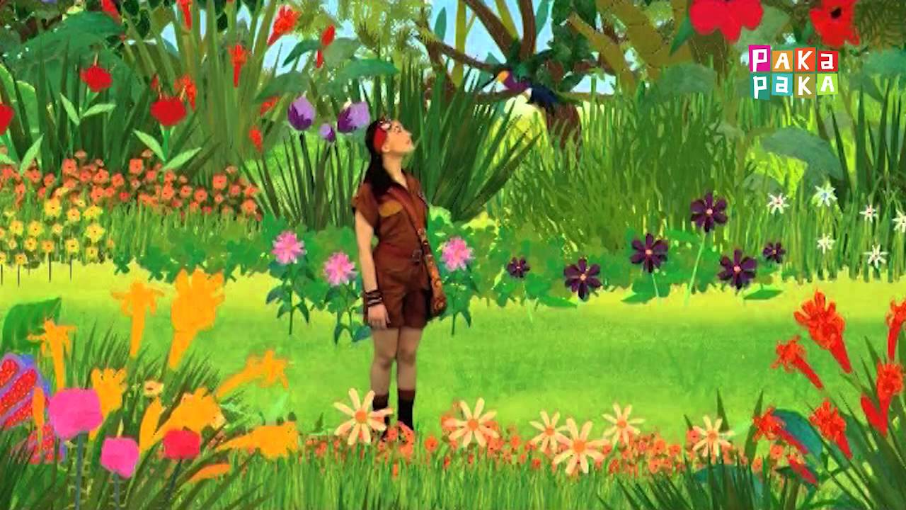 Animapaka II: Colibrí (Cap. 26) - Canal Pakapaka - YouTube