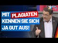 Mit Plagiaten kennen Sie sich ja gut aus, Stephan Brandner - AfD-Fraktion im Bundestag