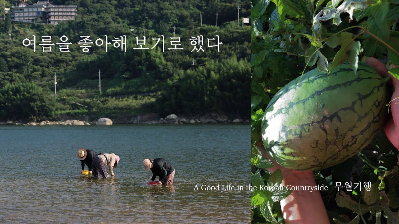 더워질수록 더 잘 자라는 텃밭 수박과 채소들과 (시골 일상 브이로그)