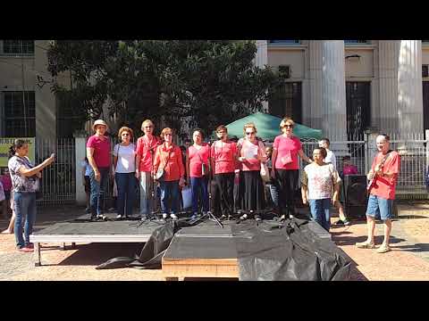 Hino do instituto de educação general flores da Cunha