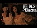 The Brides Of Dracula The Vampiress Film Recap