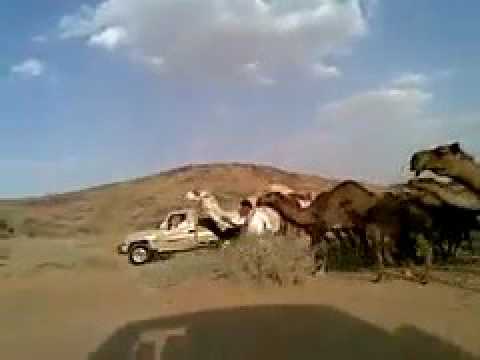 مهلي حشاش الظفيري