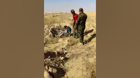 Graphic images- Iraqi army executed a claimed Tunisian member of ISIS