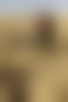 Graphic images- Iraqi army executed a claimed Tunisian member of ISIS