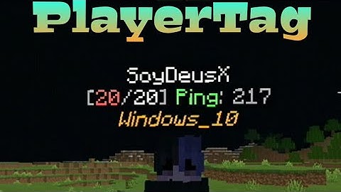 PlayerTag Plugin For PocketMine 1.16.X