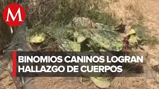 Son hallados seis cuerpos en fosa clandestina en Tepezalá, Aguascalientes